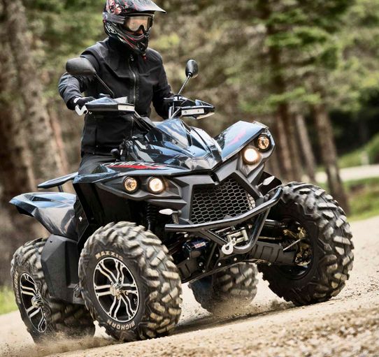 Fahrzeuge von online bei Quad Facius in Bad Langensalza - Nägelstedt