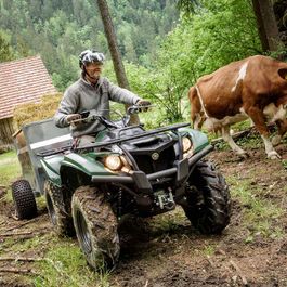Fahrzeuge von Yamaha bei Quad Facius in Bad Langensalza - Nägelstedt