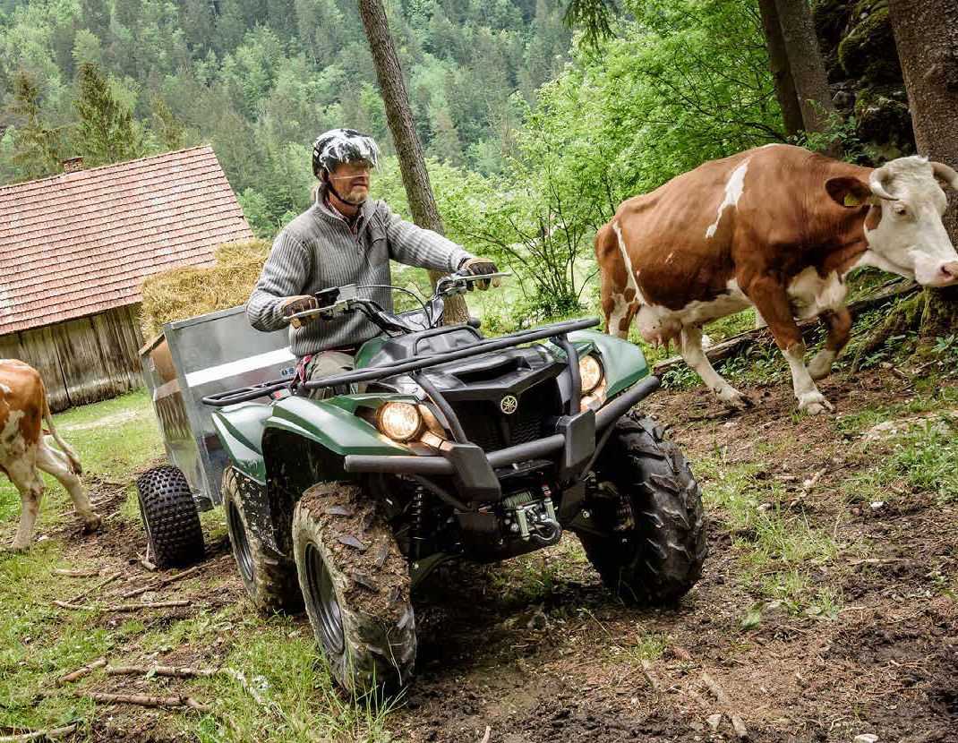 Fahrzeuge von Yamaha bei Quad Facius in Bad Langensalza - Nägelstedt