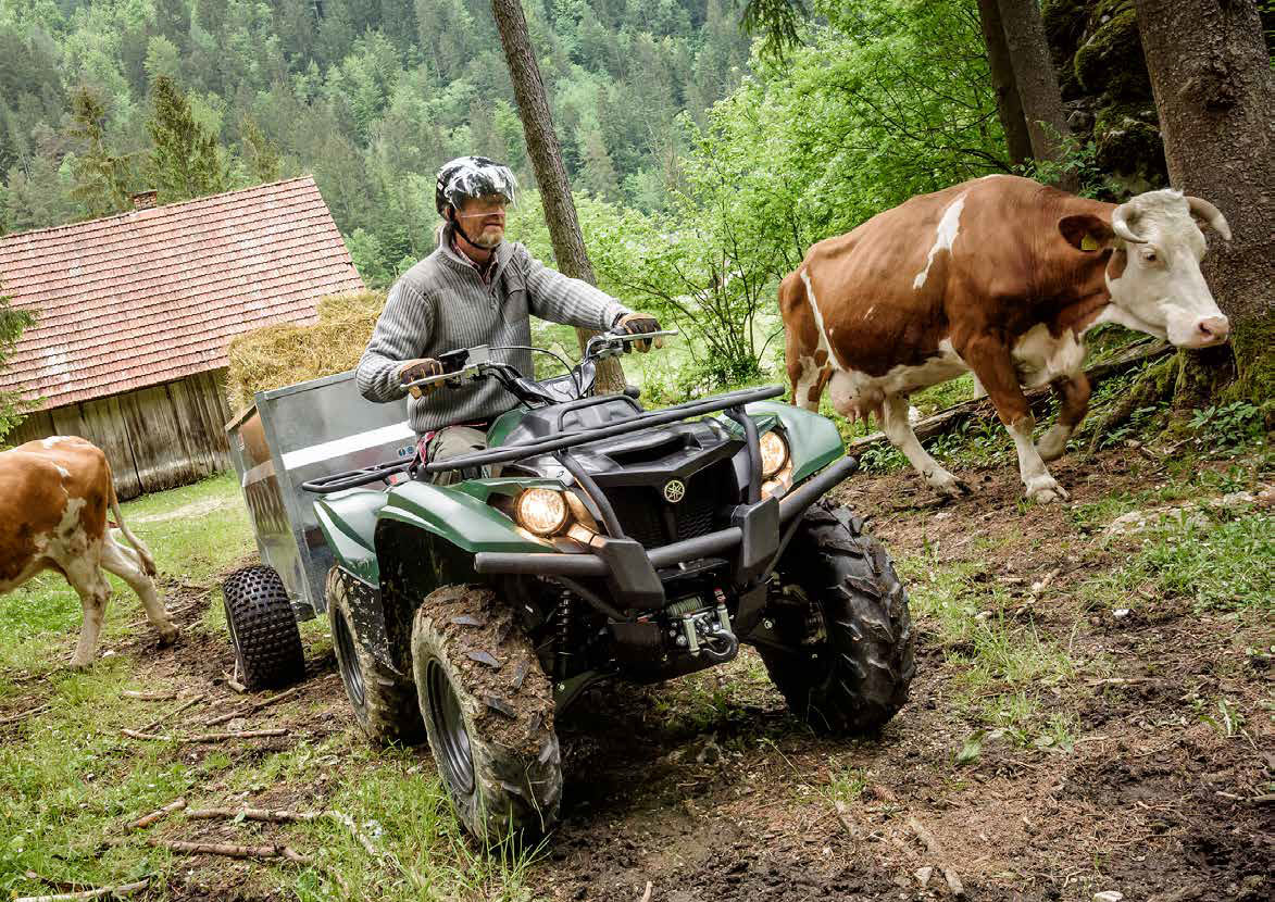 Fahrzeuge von Yamaha bei Quad Facius in Bad Langensalza - Nägelstedt