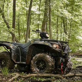 Fahrzeuge von Yamaha bei Quad Facius in Bad Langensalza - Nägelstedt