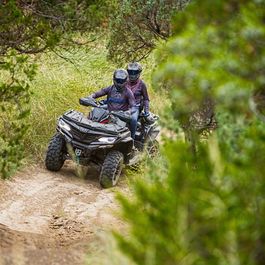 Fahrzeuge von CF Moto bei Quad Facius in Bad Langensalza - Nägelstedt