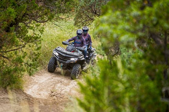 Fahrzeuge von CF Moto bei Quad Facius in Bad Langensalza - Nägelstedt