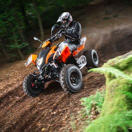 Fahrzeuge von Adly bei Quad Facius in Bad Langensalza - Nägelstedt