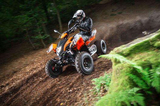 Fahrzeuge von Adly bei Quad Facius in Bad Langensalza - Nägelstedt