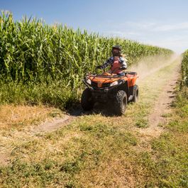 Fahrzeuge von CF Moto bei Quad Facius in Bad Langensalza - Nägelstedt