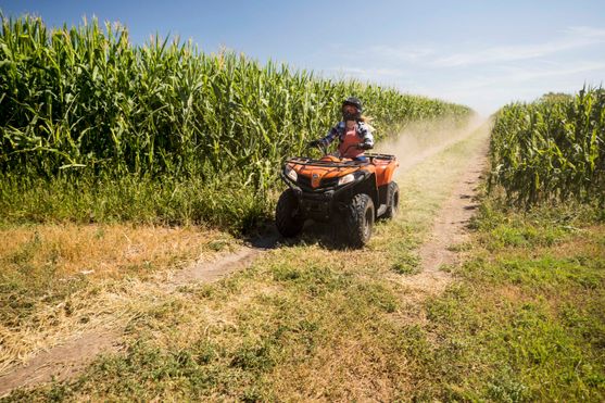 Fahrzeuge von CF Moto bei Quad Facius in Bad Langensalza - Nägelstedt