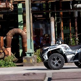 Fahrzeuge von Adly bei Quad Facius in Bad Langensalza - Nägelstedt
