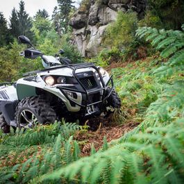 Fahrzeuge von Adly bei Quad Facius in Bad Langensalza - Nägelstedt