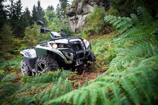 Fahrzeuge von Adly bei Quad Facius in Bad Langensalza - Nägelstedt