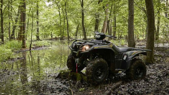 Fahrzeuge von Yamaha bei Quad Facius in Bad Langensalza - Nägelstedt