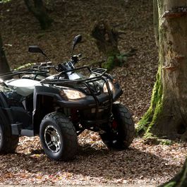 Fahrzeuge von Adly bei Quad Facius in Bad Langensalza - Nägelstedt