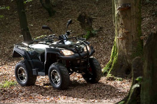 Fahrzeuge von Adly bei Quad Facius in Bad Langensalza - Nägelstedt