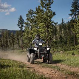 Fahrzeuge von Polaris bei Quad Facius in Bad Langensalza - Nägelstedt