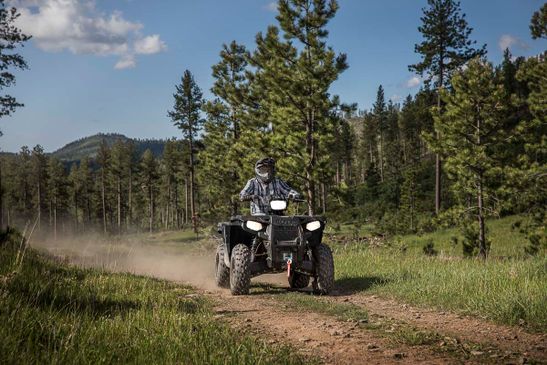 Fahrzeuge von Polaris bei Quad Facius in Bad Langensalza - Nägelstedt